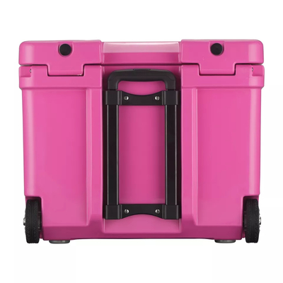 Poubelle plus fraîche isolée portative faite sur commande de poissons de coffre de Rotomold de boîte de refroidisseur de glace
