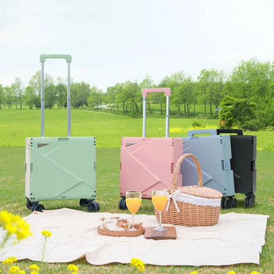 6 roues montant le caddie en plastique avec Seat Mini Folding Hand Luggage Cars