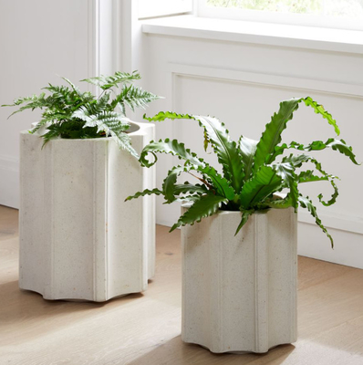 Pot et planteur de fleur en plastique de Rotomoulding avec le service d'OEM