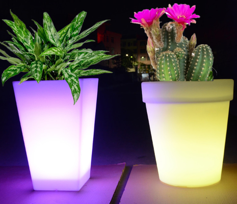 Pot et planteur de fleur en plastique de Rotomoulding avec le service d'OEM