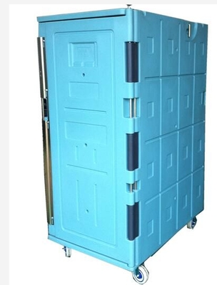 900L a isolé le Cabinet de nourriture que Roto a moulé des produits
