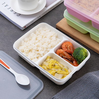 Conteneurs en plastique réutilisables de déjeuner d'enfants, BPA Bento Lunch Box libre